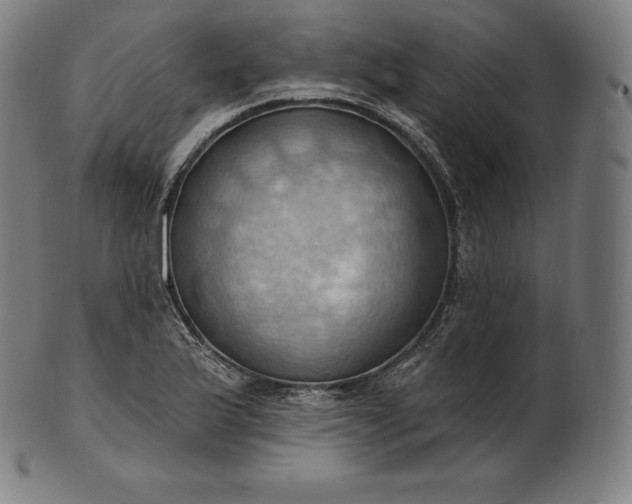 X0000101211175200807111026