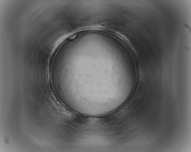 X0000101211176200807111026