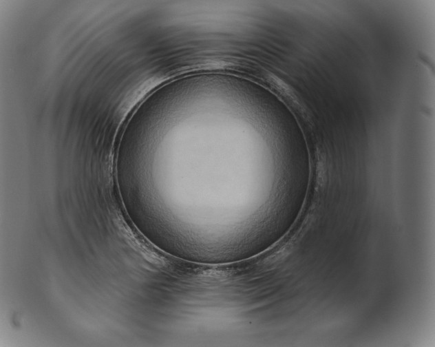 X0000101211178200807111026