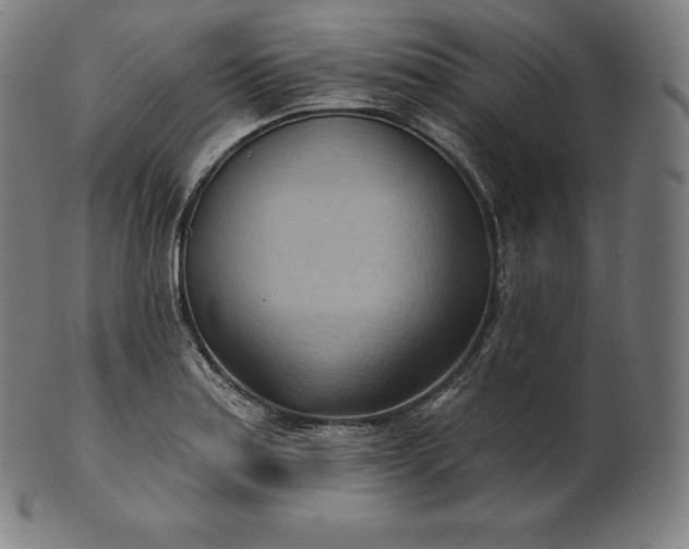 X0000101211179200807111026