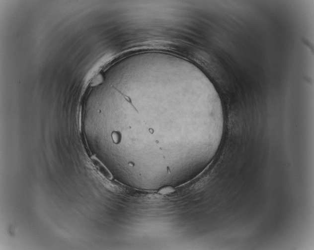 X0000101211180200807111026