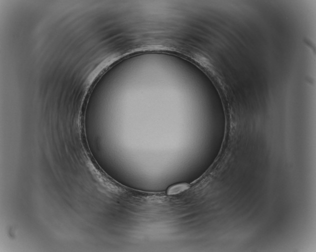 X0000101211181200807111026