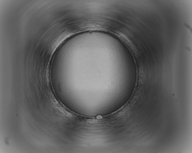 X0000101211182200807111026