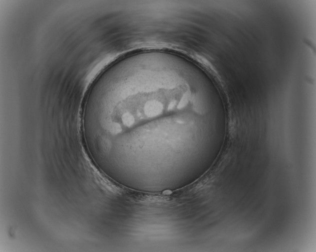 X0000101211183200807111026