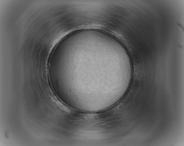 X0000101211184200807111026