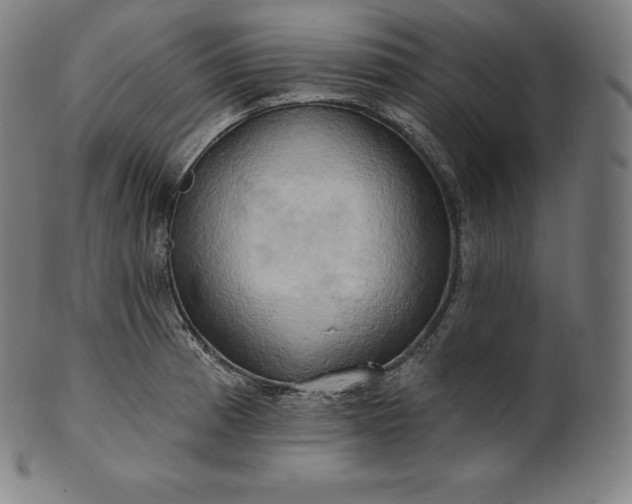 X0000101211185200807111026