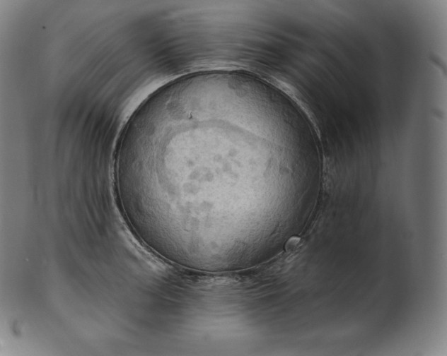 X0000101211187200807111026