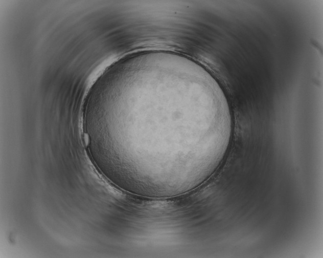 X0000101211188200807111026