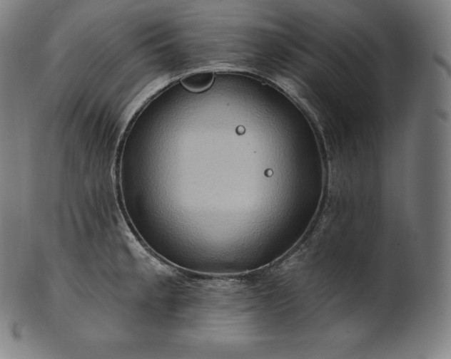 X0000101211189200807111026