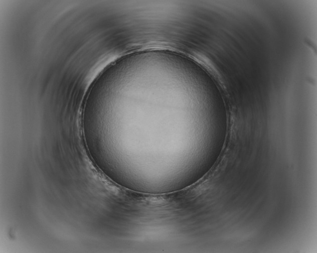 X0000101211190200807111026