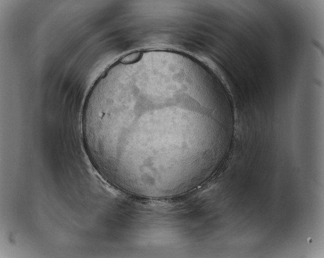 X0000101211191200807111026