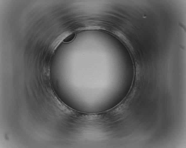 X0000101211193200807111026