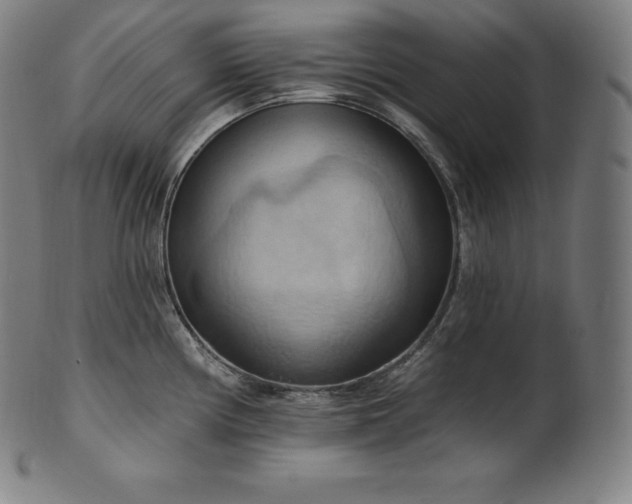 X0000101211194200807111026