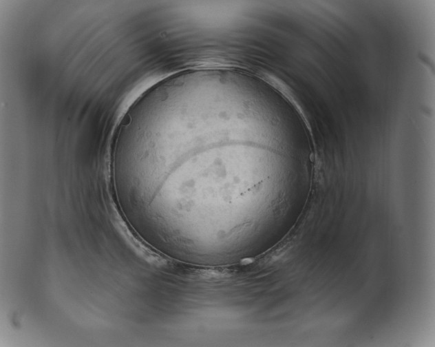 X0000101211195200807111026