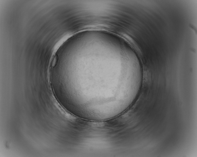 X0000101211196200807111026