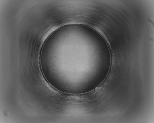 X0000101211197200807111026