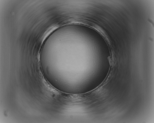 X0000101211198200807111026