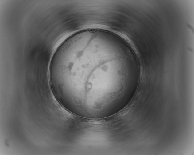 X0000101211199200807111026