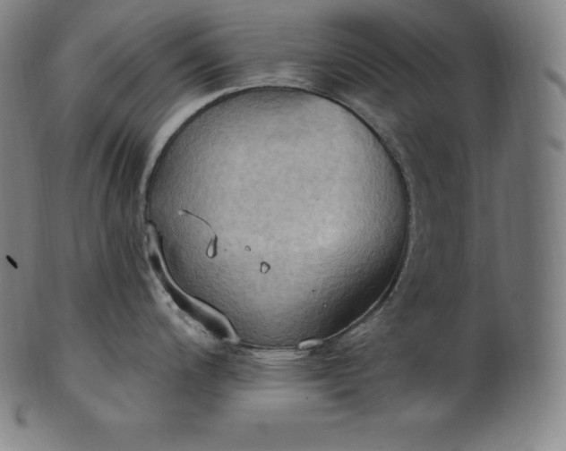 X0000101211200200807111026