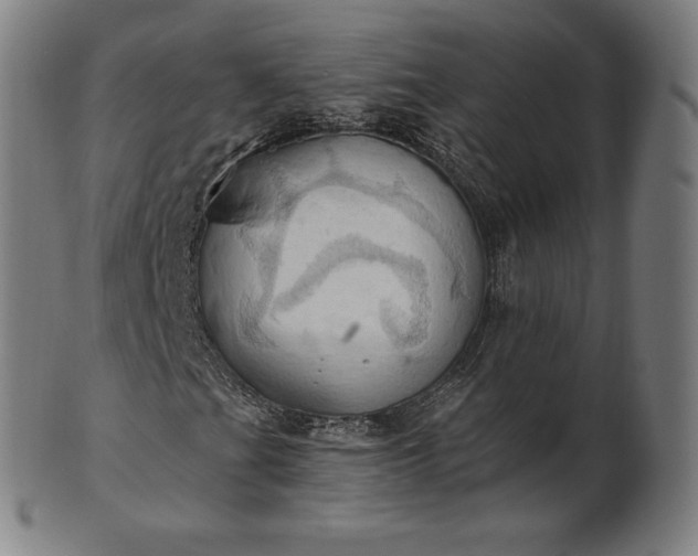 X0000101211201200807111025