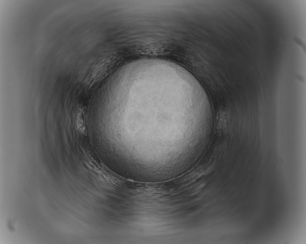 X0000101211202200807111025