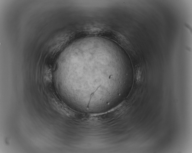 X0000101211204200807111025