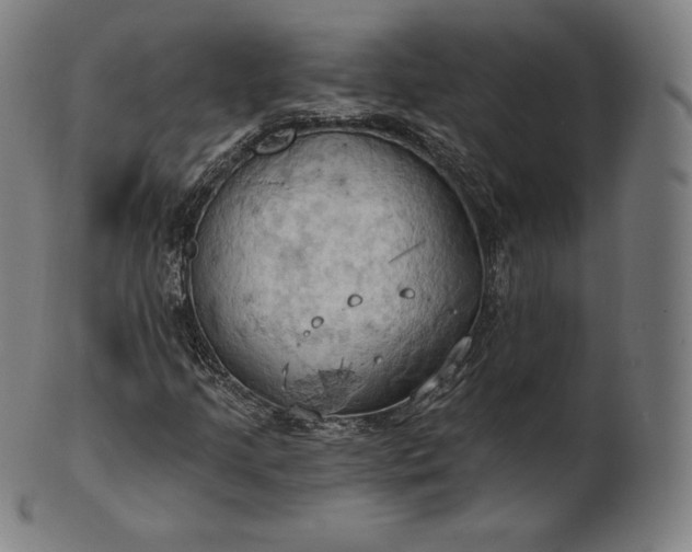 X0000101211205200807111025