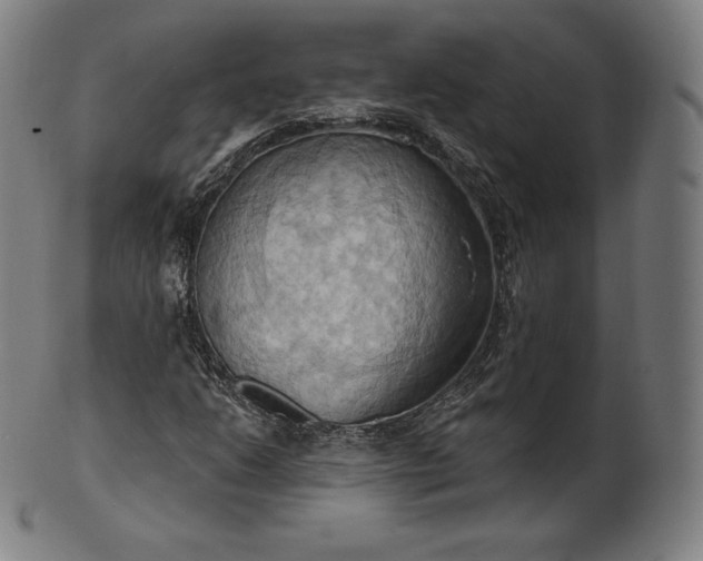 X0000101211206200807111025