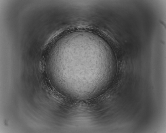 X0000101211207200807111025