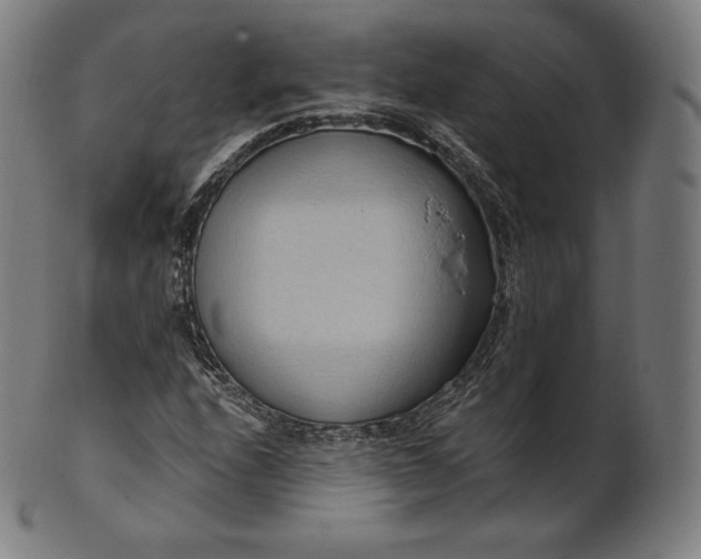 X0000101211208200807111025