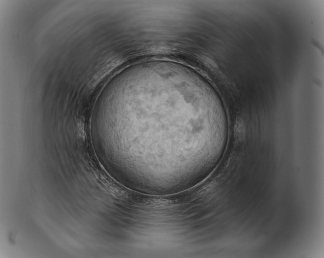 X0000101211209200807111025