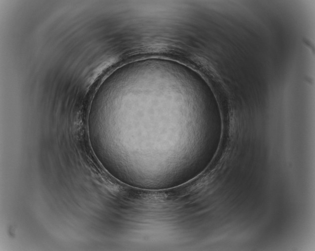 X0000101211210200807111025