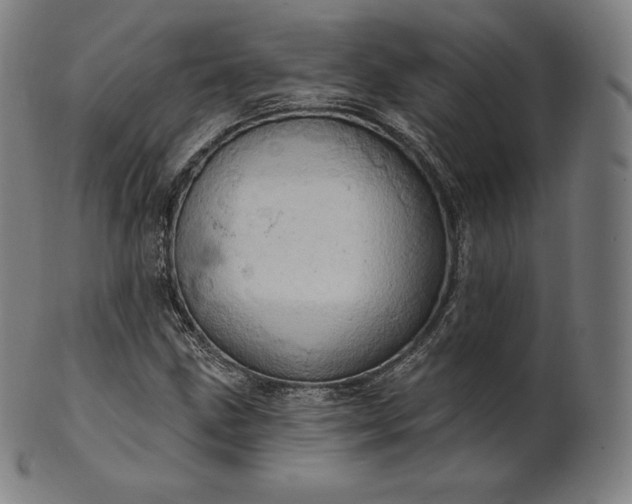 X0000101211211200807111025