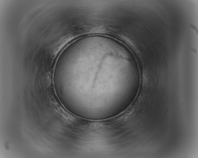 X0000101211212200807111025