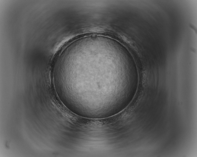 X0000101211214200807111025