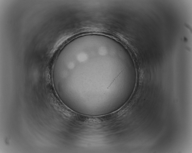 X0000101211215200807111025