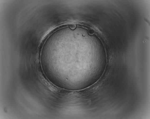 X0000101211216200807111025