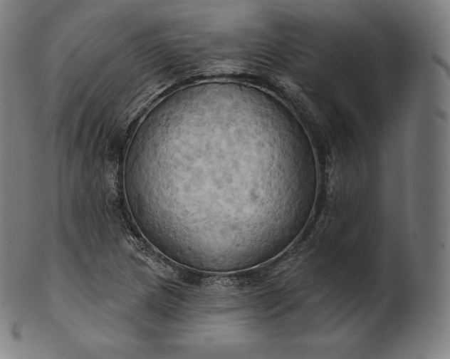 X0000101211217200807111025