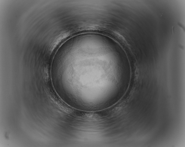 X0000101211218200807111025