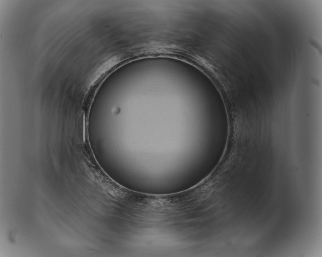 X0000101211219200807111025