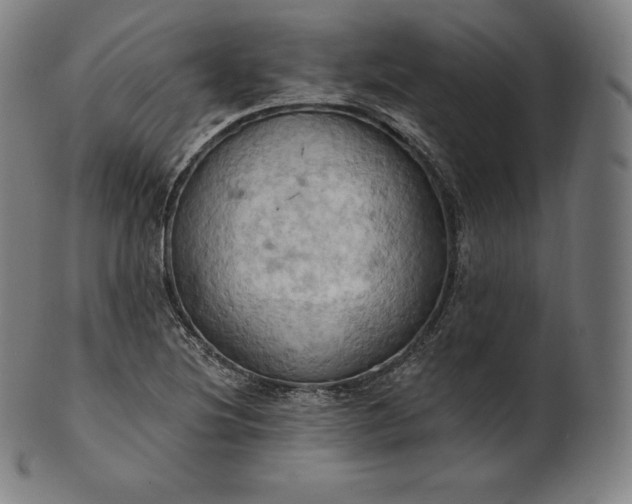 X0000101211220200807111025