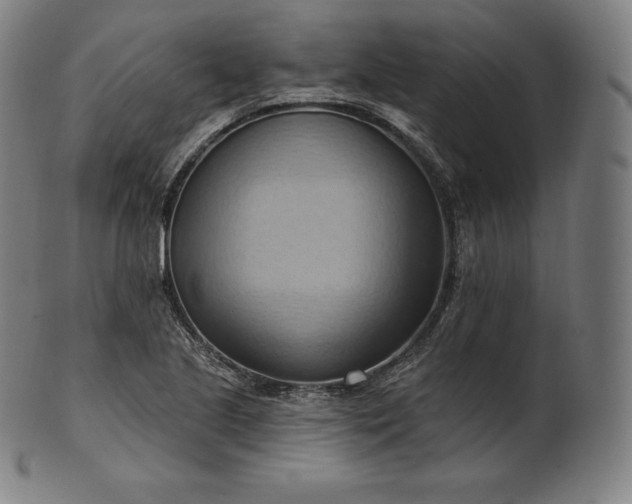 X0000101211221200807111025