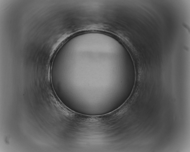 X0000101211224200807111025