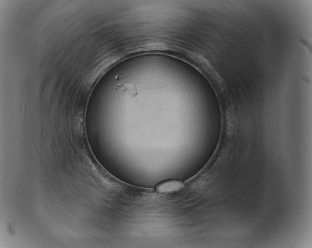 X0000101211225200807111025