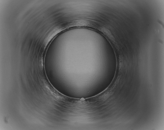 X0000101211226200807111025