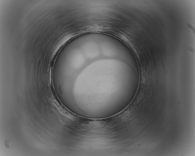 X0000101211227200807111025