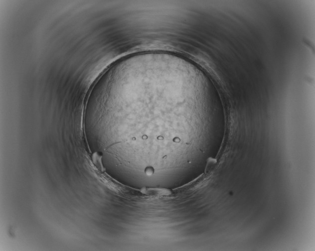 X0000101211228200807111025