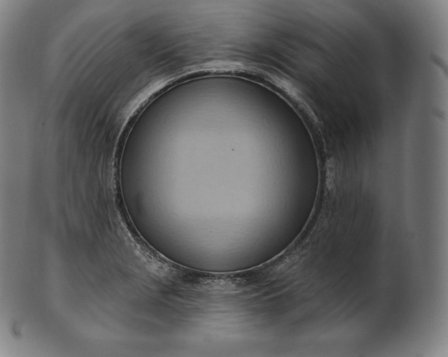 X0000101211229200807111025