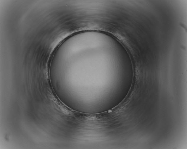 X0000101211230200807111025