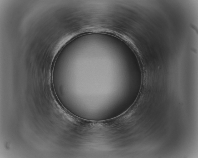 X0000101211231200807111025